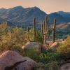 beautiful desert scene with mountain range in Scottsdale, AZ